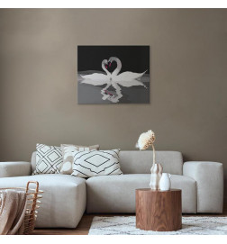 Set de pictură pe numere - Swan Couple