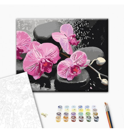 Quadro fai da te - Orchid With Zen Stones (Black Background)