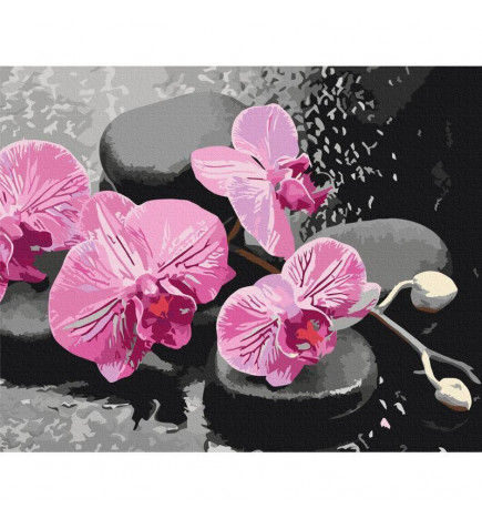 Platno za samostojno slikanje - Orchid With Zen Stones (Black Background)