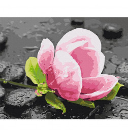 Tee ise maal - Pink Flower and Stones
