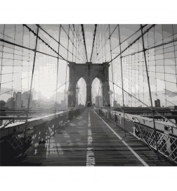 Paint By Numbers Kit - New York Bridge