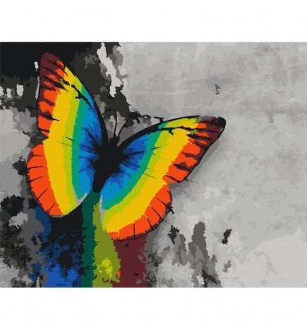 Platno za samostojno slikanje - Colourful Butterfly