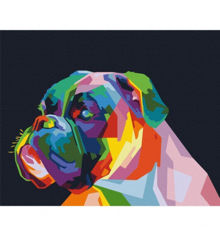 DIY kangas maalaus - Colourful Boxer