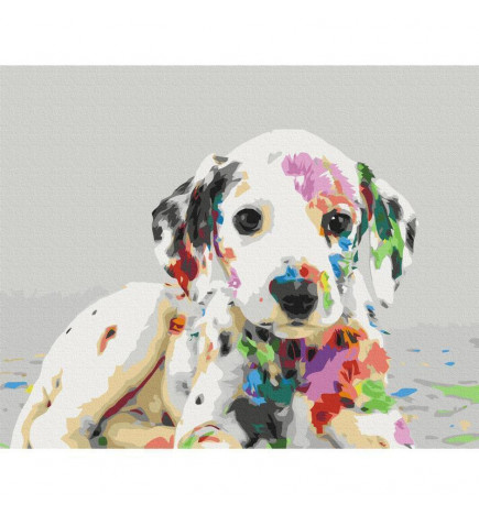 Platno za samostojno slikanje - Colourful Puppy