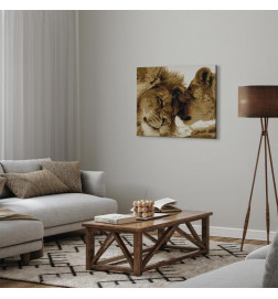 Quadro fai da te - Cold Owl
