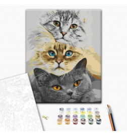 Paint By Numbers Kit - Cats Trio