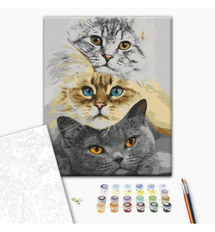Malen nach Zahlen - Cats Trio