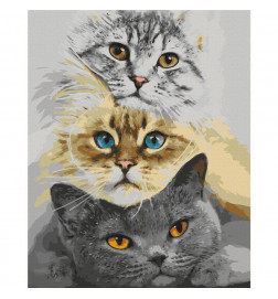 Tapybos pagal skaičius rinkinys - Cats Trio