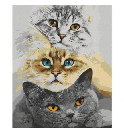 DIY glezna uz audekla - Cats Trio