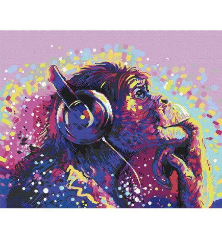 Tapybos pagal skaičius rinkinys - Magic Chimpanzee
