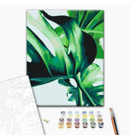 Malen nach Zahlen - Monstera Adansonii