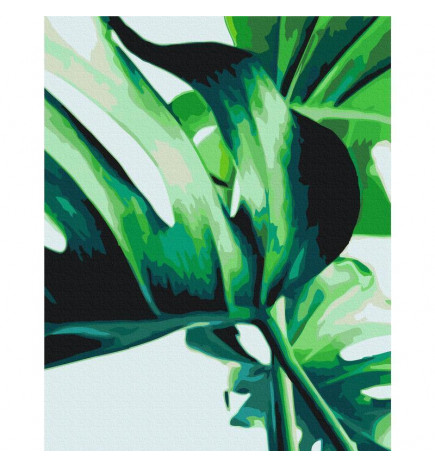 Paint By Numbers Kit - Monstera Adansonii