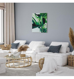 Paint By Numbers Kit - Monstera Adansonii