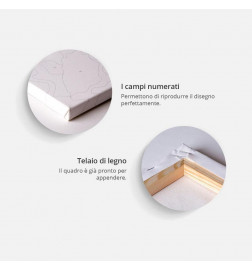 Peinture par numéros - Ballet Shoes