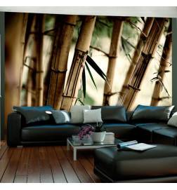 73,00 € Wallpaper - Fog and bamboo forest