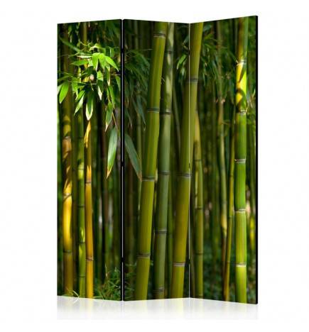 124,00 €Paravento bamboo tropicale arredalacasa 3 ante