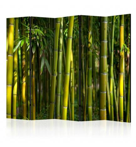 172,00 €Paravento bamboo tropicale arredalacasa 5 ante