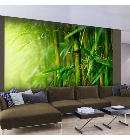 Wallpaper - jungle - bamboo