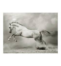 Fotomurale con un cavallo bianco che salta - Arredalacasa