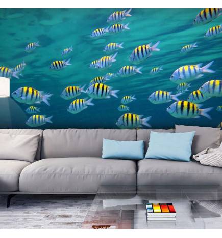 Wallpaper - Underwater landscape - Caribbean
