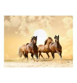 Fotomural - Cavalos correndo