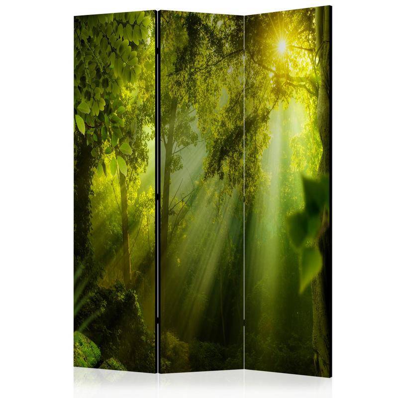 124,00 € total price with free shipping www.arredalacasa.com screens wallpaper paintings prints posters and wall murals