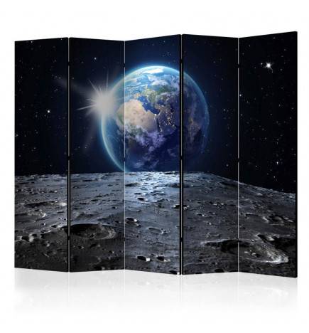 172,00 € Room Divider - View of the Blue Planet II [Room Dividers]