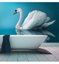 Wallpaper - swan - reflection