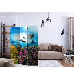 Room Divider - Coral reef [Room Dividers]
