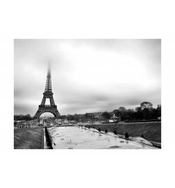 Fotomural - Paris: Torre Eiffel