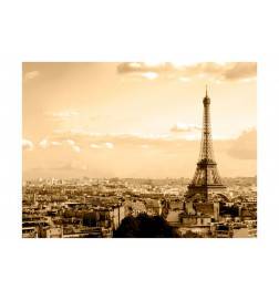 Wallpaper - Paris - panorama Size 200x154