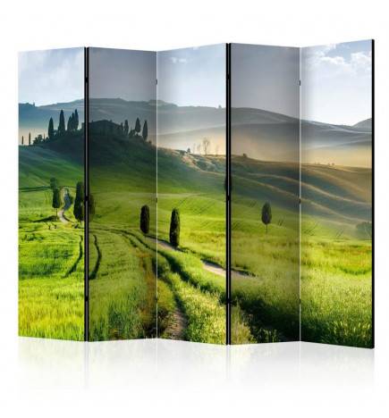 172,00 €Paravent 5 volets - Morning in the countryside II [Room Dividers]