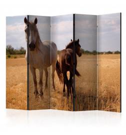 172,00 € Room Divider - Horse and foal II [Room Dividers]