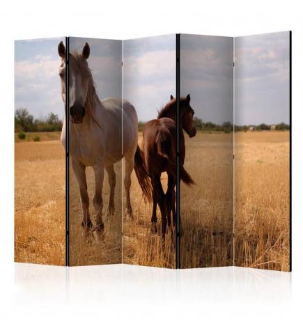 172,00 €Paravent 5 volets - Horse and foal II [Room Dividers]