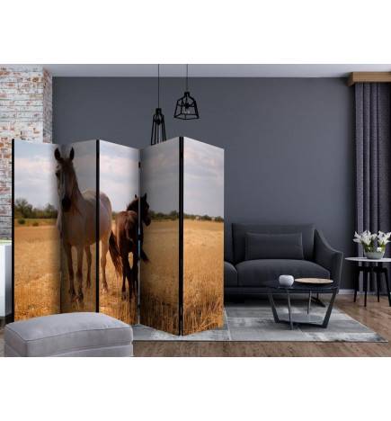 Paravent 5 volets - Horse and foal II [Room Dividers]