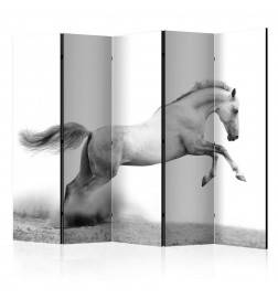 172,00 €Paravent 5 volets - White gallop II [Room Dividers]