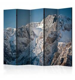 Paravent 5 volets - Winter in the Alps II [Room Dividers]