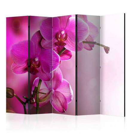 172,00 € Room Divider - Pink orchid II [Room Dividers]