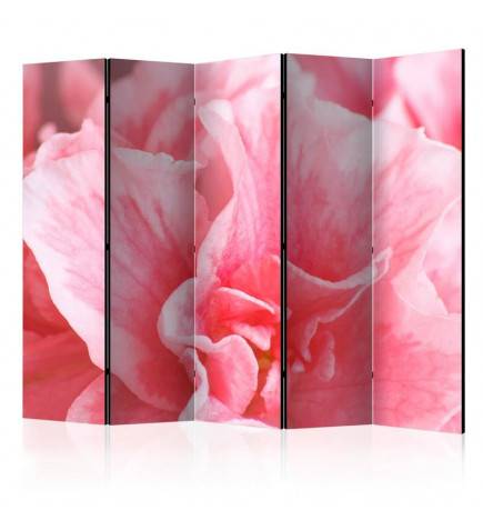 172,00 € 5-teiliges Paravent - Pink azalea flowers II [Room Dividers]