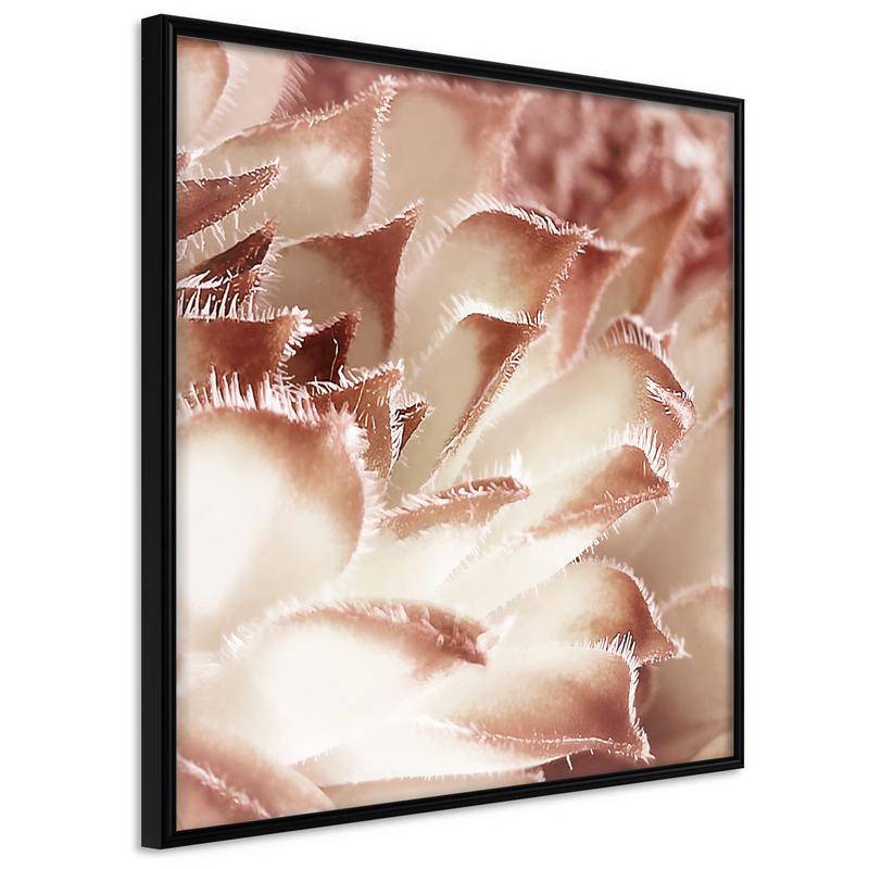 35,00 € Abstract Floral Poster