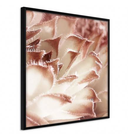 Poster - Floral Calyx