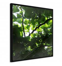 35,00 €Poster et affiche - Under Cover of Leaves