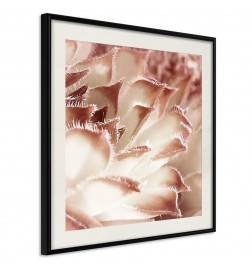 Poster - Floral Calyx