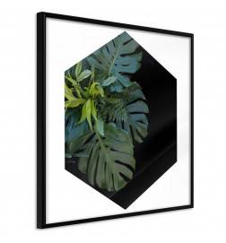 35,00 € Poster - Cell of Jungle