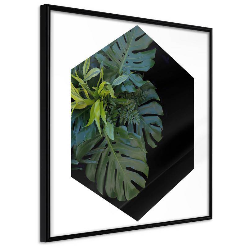 35,00 € Poster - Cell of Jungle