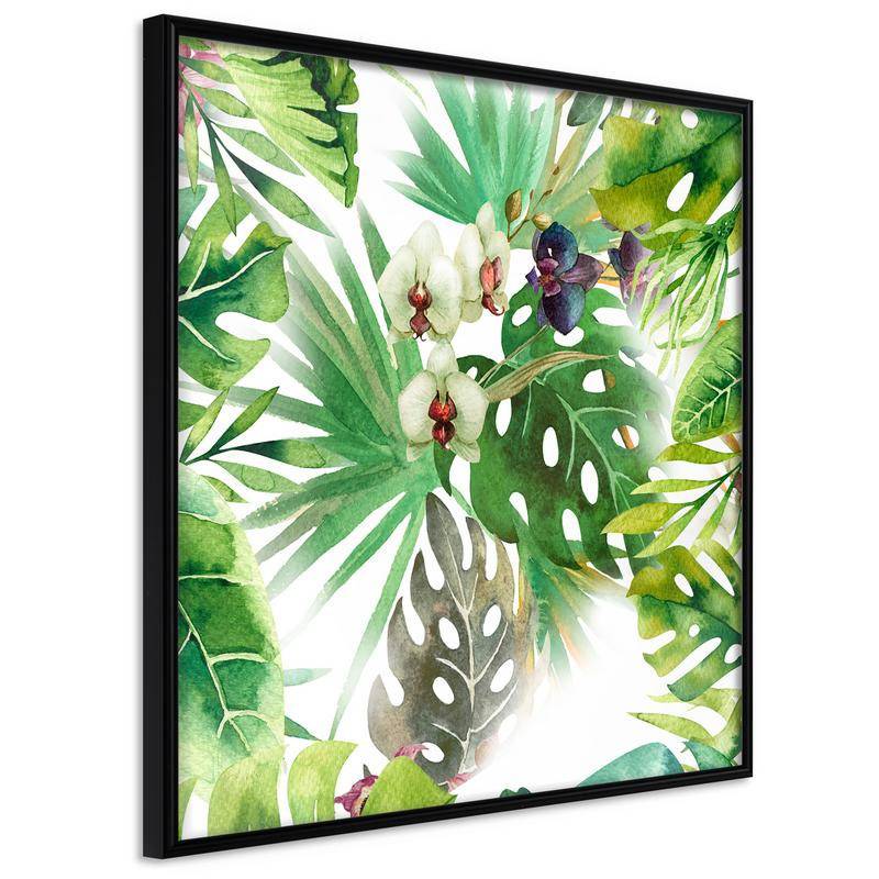 35,00 € Poster - Monsteras, Inc. II (Square)