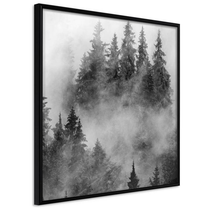 35,00 € Posters met vurige bomen in de mist, Arredalacasa