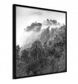 Poster - Foggy Forest