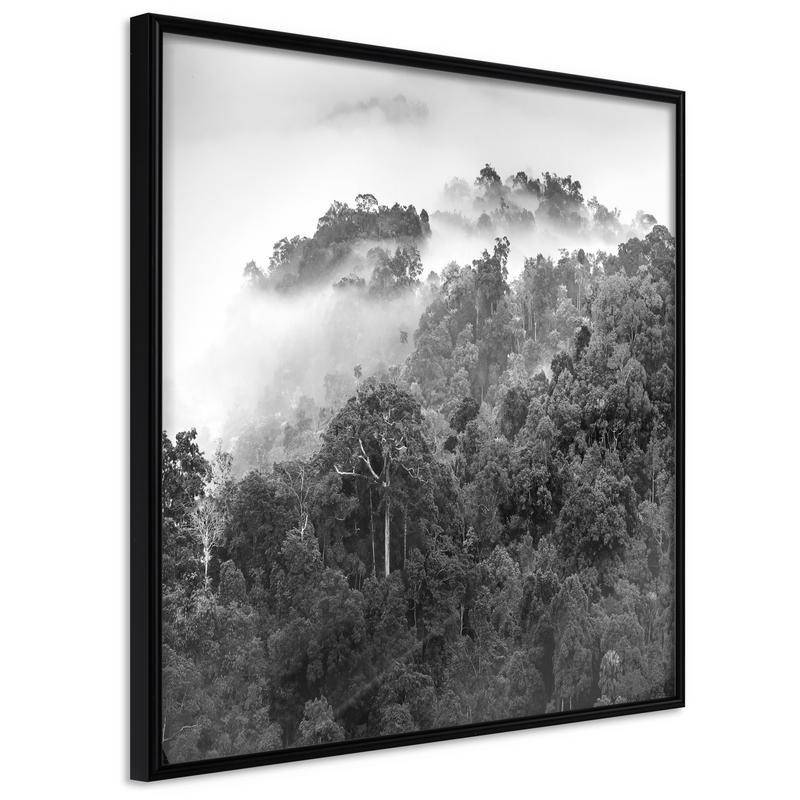 35,00 € Plakat v črnem gozdu z meglo iz okna - Arredalacasa