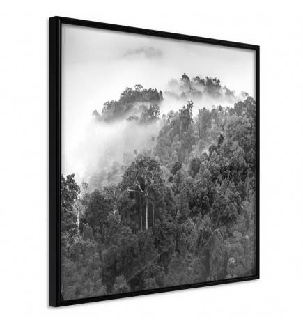 Poster in het zwarte bos met mist uit het portaal Arredalacasa